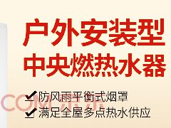 瑞美（Rheem）室外型家用立式中央燃气热水器 防